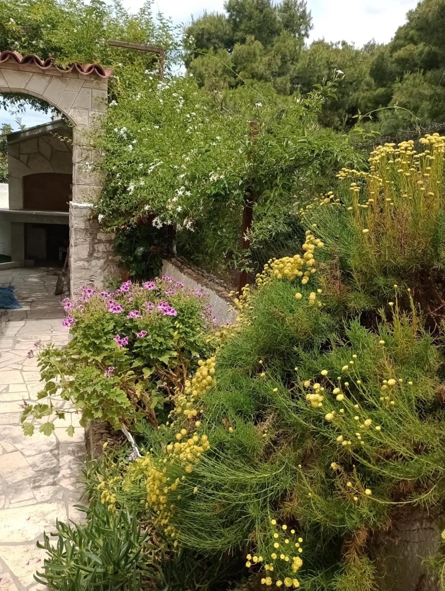 Kuca Za Odmor Skalina - Sea View Villa Splitska Værelse billede